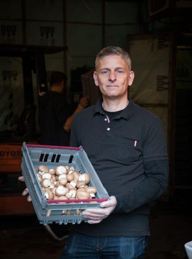 Efter 15 år som styrekonom sadlade Jesper Olsson om, och driver nu en av Sveriges få svampodlingar, Göteborgssvamp.